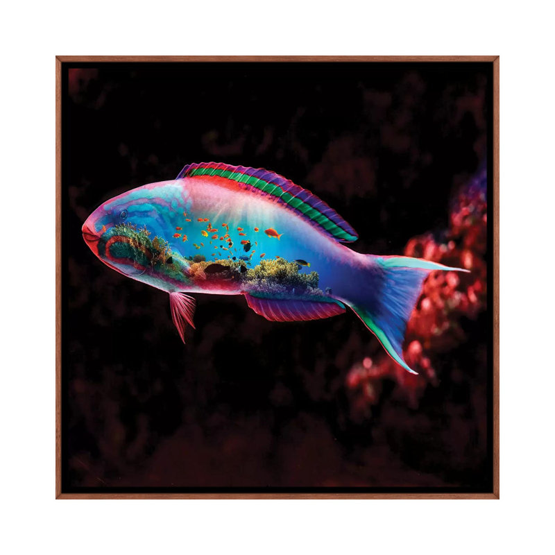 Fish 1 Piece Wall Art on Canvas, 66.04 cm H x 66.04 cm W, Classic Brown Wood Framed