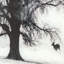 « winter morning fog ii »-reproduction de photo encadrée sur verre