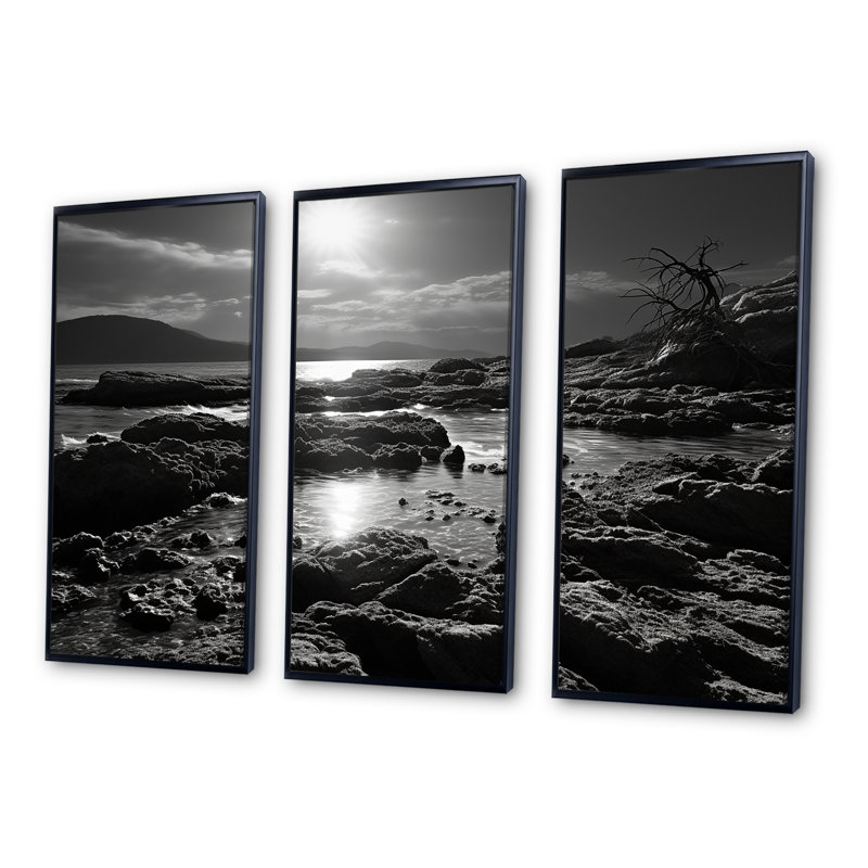 «Black and White Rocky Beach - Coastal Coral Under Water», ensemble d'art mural, Cadre flottant noir