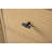 Caldwell 60" Double Sink Freestanding Bathroom Vanity with Engineered Marble Top-107663178-107663181-107663183