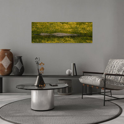Alligator Flowing In A Canal, Big Cypress Swamp National Preserve, Tamiami, Ochopee, Florida, Usa Contemporary Alligator Architecture Wall Art