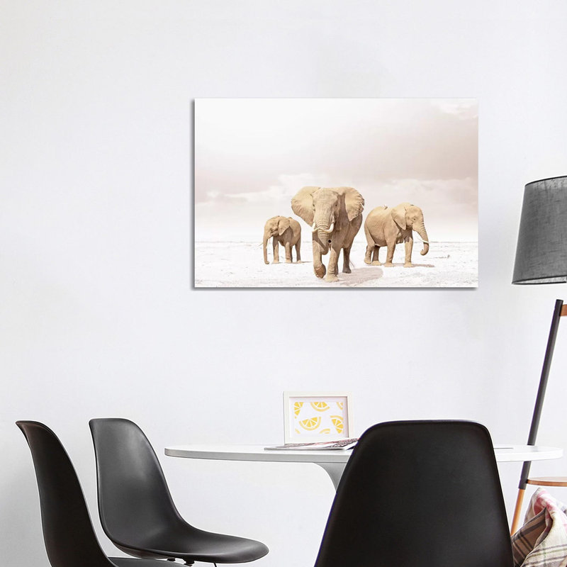 White Three Elephants by Klaus Tiedge - Wrapped Canvas Print, 101.6 cm H x 66.04 cm W x 3.175 cm D