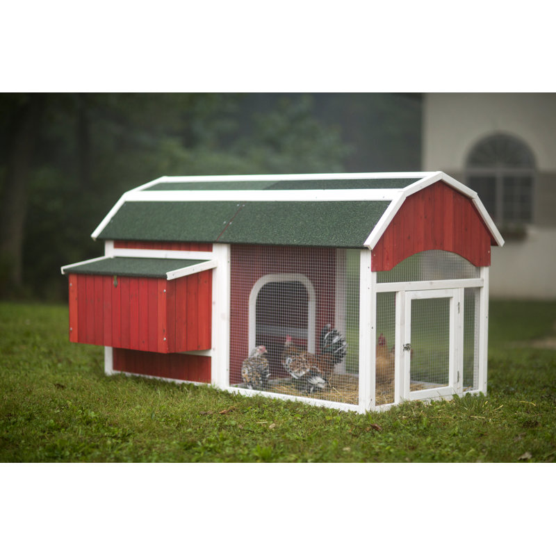 Pavlof 22.2 Square Feet Chicken Coop with Chicken Run For Up To 6 Chickens