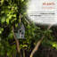 Cabane à oiseaux 12 po x 6 po x 8 po Jeremy Artful-1172155606