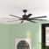 Renegade 8 - Blade Outdoor / Indoor Smart Ceiling Fan with Remote Control and LED Light Kit Included, Works With Alexa and iOS or Android App