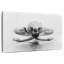 Enn Ballet Stretching routine-107708987