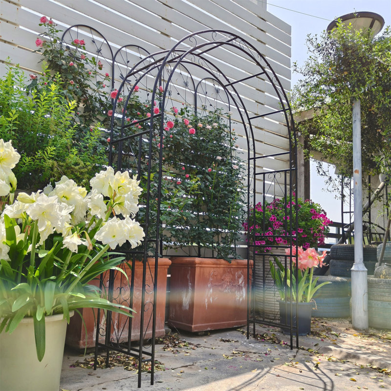 Arche de jardin en métal L 59 po x l 17,71 po x H 90,55 po