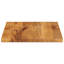 Jann Solid Wood Table Top-1604542417
