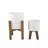 Wadlington Ceramic Pot Planter