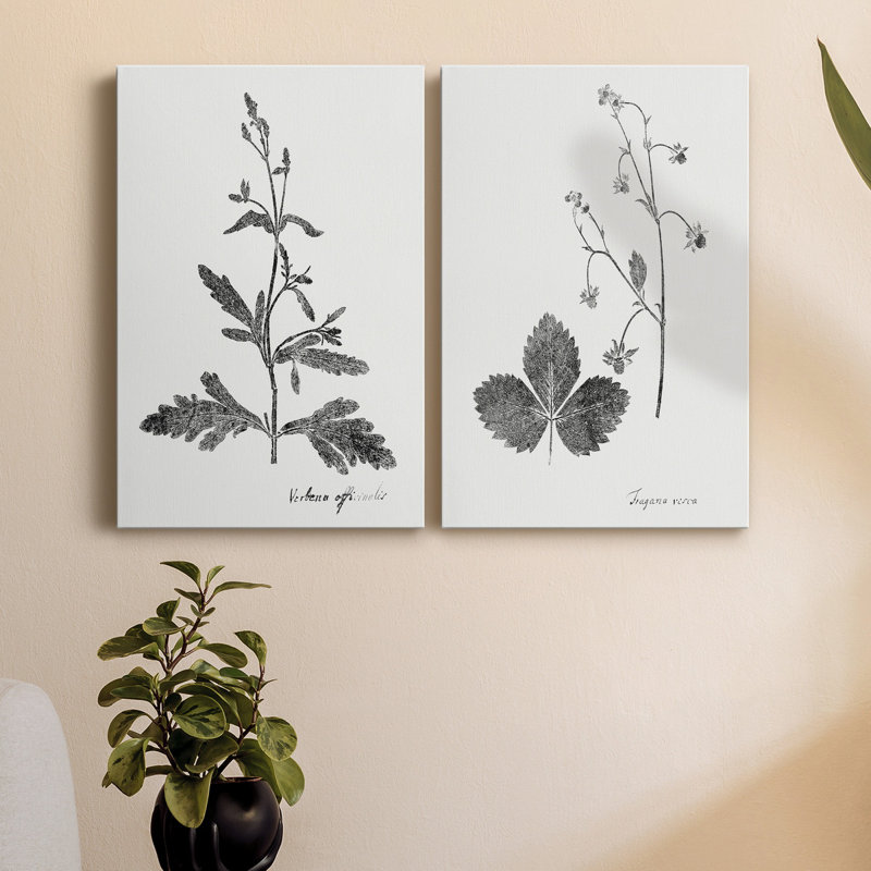 Toile tendue avec châssis Botanical Imprint III - prêt à accrocher, H 36 po x l 24 po x P 1 po