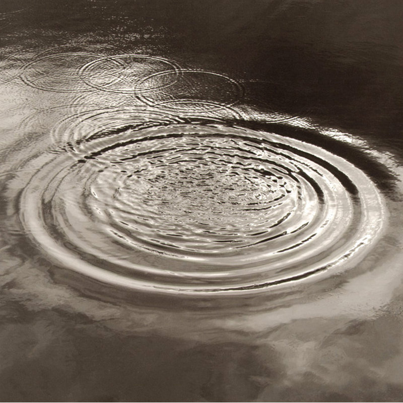 The Splash