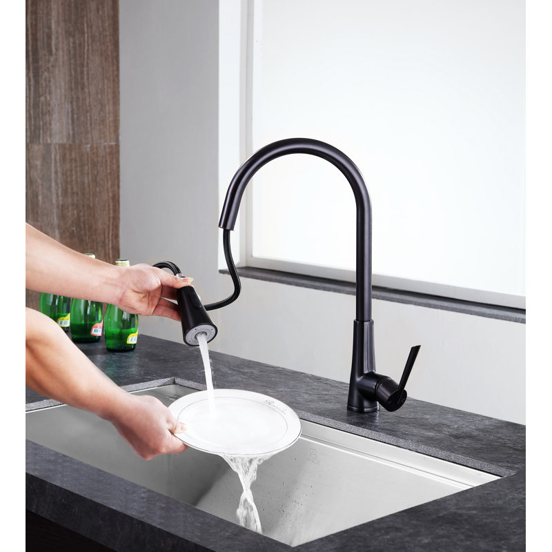 ANZZI Tulip Series Pull Out Kitchen Faucet, Oil Rubbed Bronze