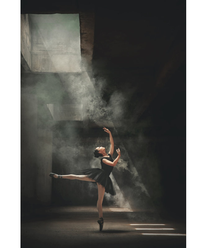Wrapped Canvas Print, 50.8 cm H x 76.2 cm W
