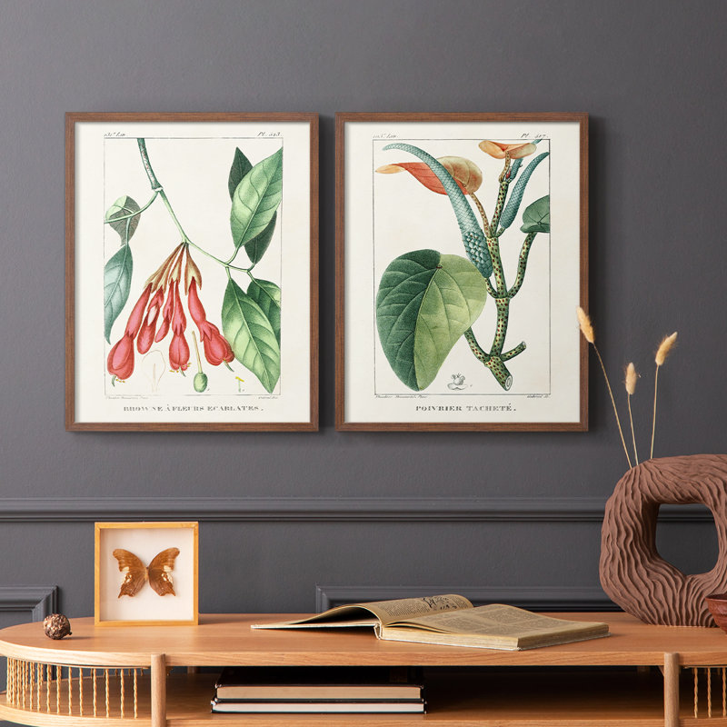 «Turpin Tropical Botanicals I», reproduction encadrée de qualité supérieure - prête à être accrochée - aucun clou requis