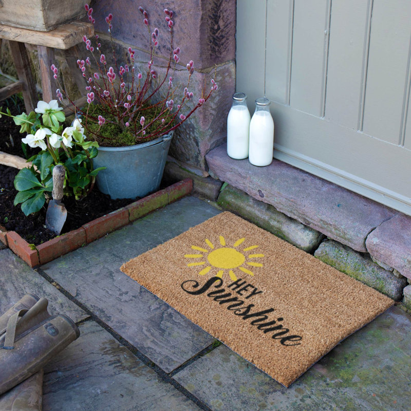 Non-Slip Doormat