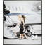 Jet Setters Print by Jeff Schaub