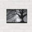 Winston Porter «Oak Silhouette» par Photoinc Studio, art mural en métal, 24 po x 16 po-2122987105