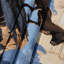 Tapisserie murale Wildlife-133636337