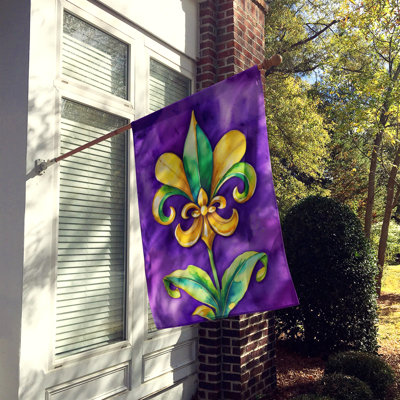 Double Sided 40'' H x 28'' W Polyester Mardi Gras House Flag