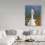 Oie - reproduction sur toile-31284844