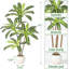 9.84cm Plant-2030584637
