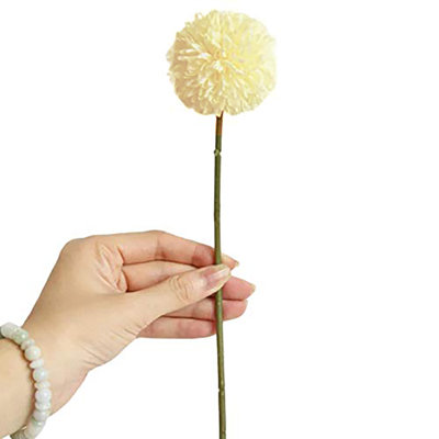 Allium Arrangement