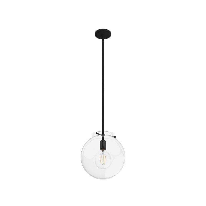 Sacha 1 - Light Single Globe Pendant, Black