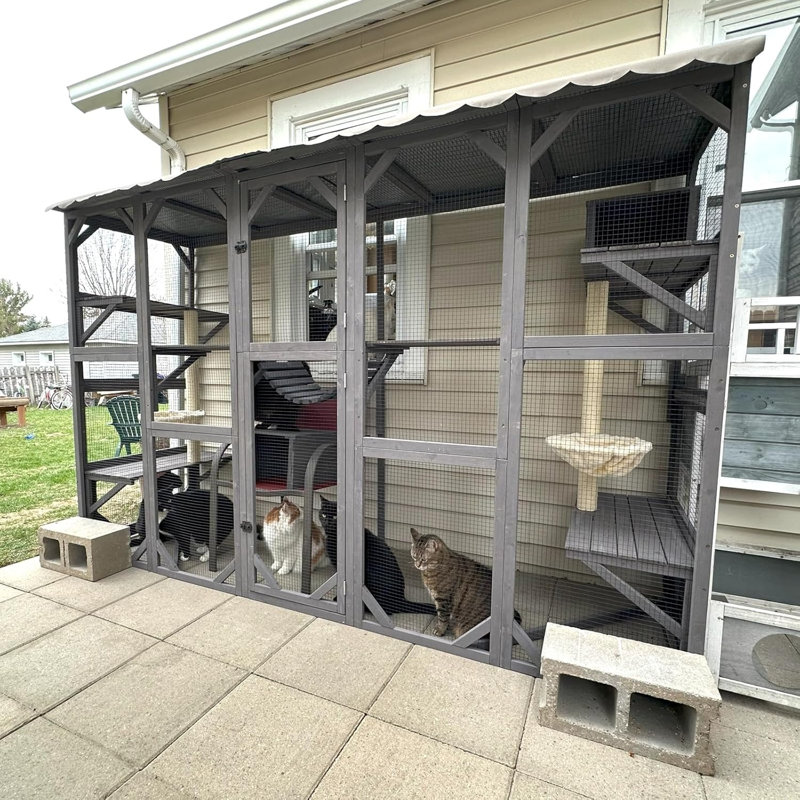 Aire de jeux murale en bois pour chat Catio