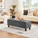 Riella Polyester Upholstered Storage Bench