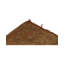 Wool Oriental Area Rug