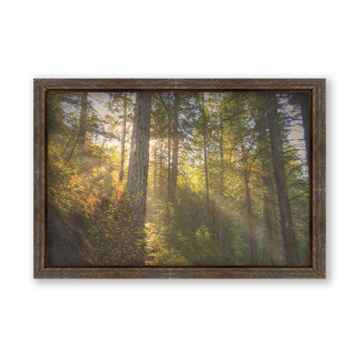 "Burney, California Forest" par Kelly Wade sur toile