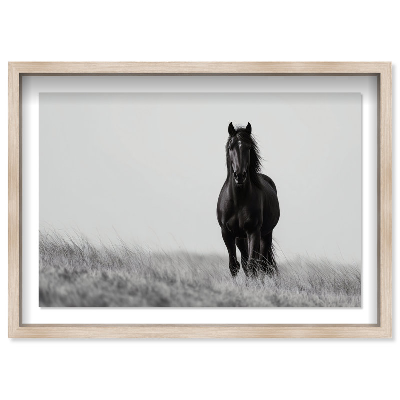 Lone Stallion I Print by Oliver Gal, 37.5" H x 55.5" W, Natural Oak Shadowbox