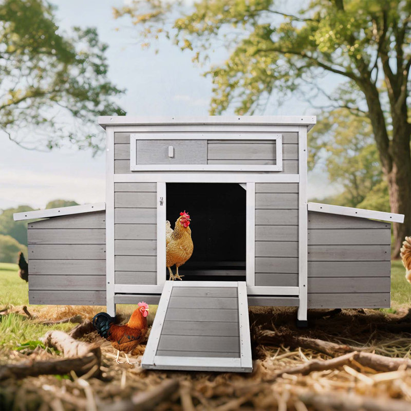 Grand poulailler en bois avec couvre-pieds imperméables et boîtes de nidification à double face pour l'extérieur