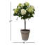 Snowball In Pot