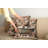 Ambesonne Rustic Pillow Covers 2 Pack Chocolate Rose Green-99020458-99020459