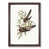 Walnut Framed selected