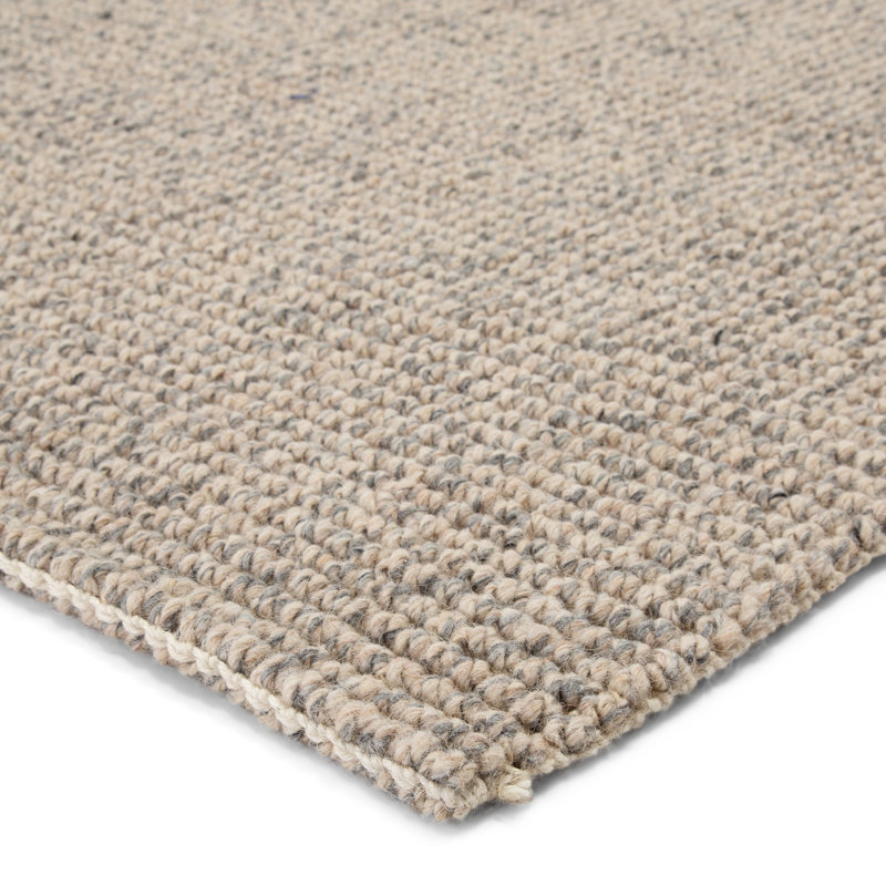 Chael Area Rug in Light Gray, Rectangle 2' x 3'