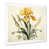 Cadre simple blanc