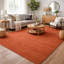 Area Rug | Terra 100% Wool Handloom Rug-948003148
