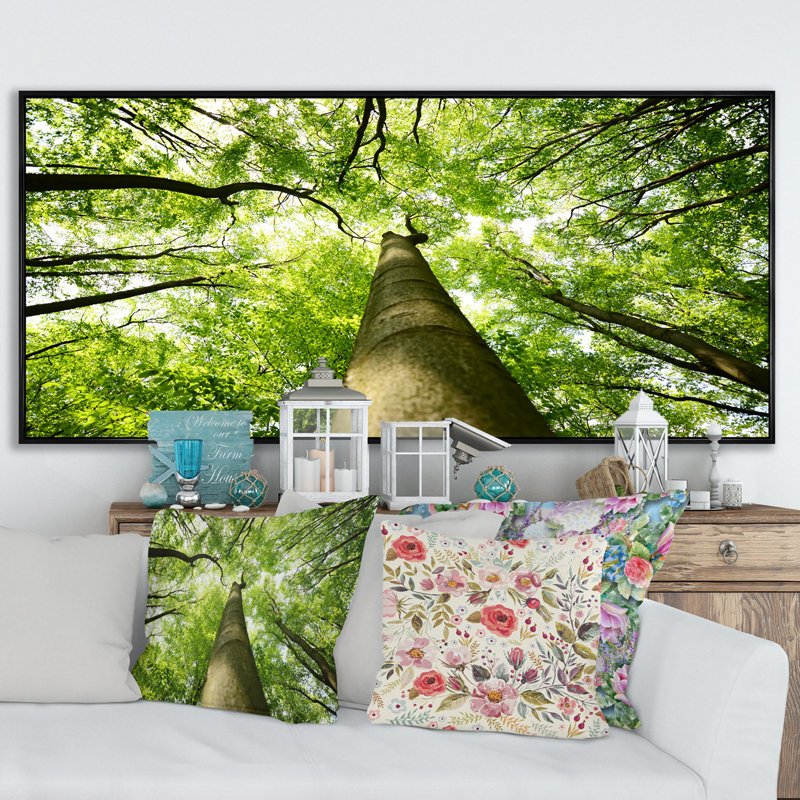 «Tree Canopies Summer Forest» - photographie sur toile, Cadre noir, H 8 po x l 12 po x P 1 po