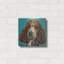 "Caniche brun" par Carolee Vitaletti-2066777097