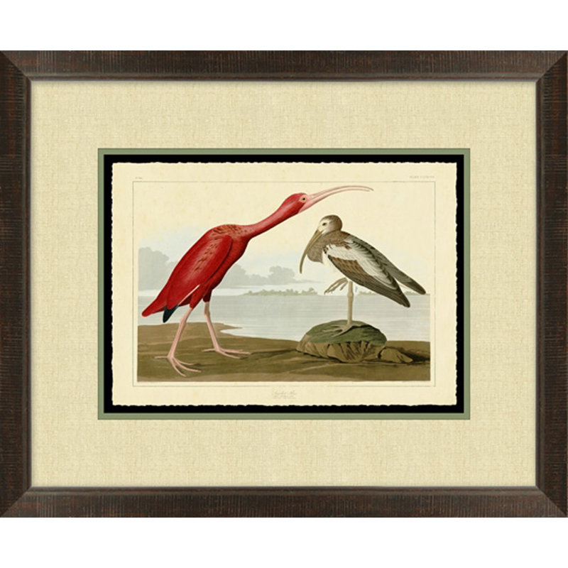 Scarlet Ibis Painting