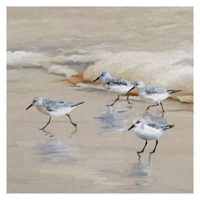 " Sandpiper Beach I Amber " by Studio Arts