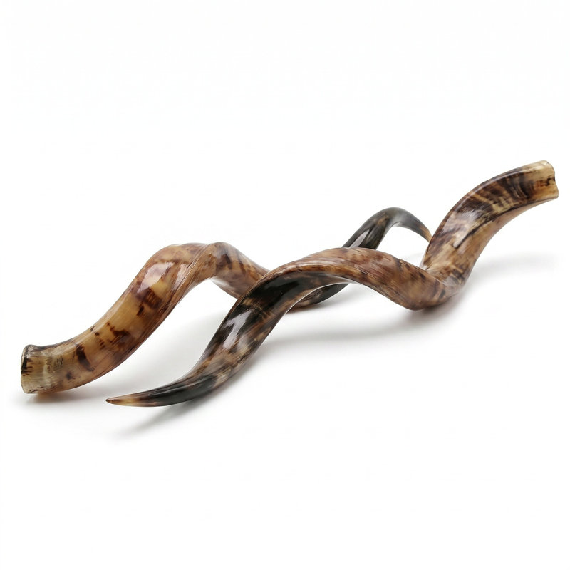 Polished Kudu Horn Pair, 28"