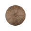 Sea Urchin Cabinet Knob-27118572