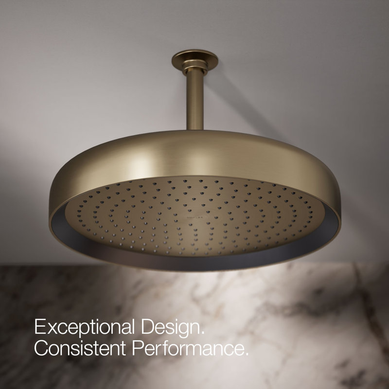 Statement 14" Single-Function Wall or Ceiling-Mount Round Rainhead, Round Rain Showerhead 2.5 GPM, Vibrant Brushed Bronze