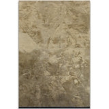 Rapture Abstract Flatweave Gold Area Rug