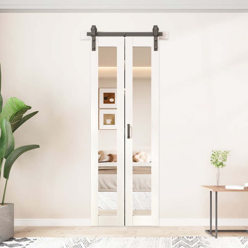 Ensemble de quincaillerie d'installation de porte de grange en verre à miroir pliable avec portes de grange, 30 po x 84 po