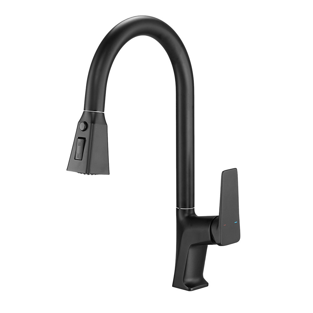 Kitchen Faucet with Pull out Sprayer