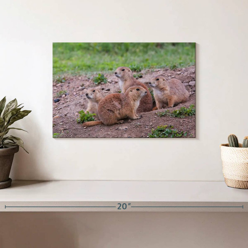 Brampt Forest Brampt Nursery, 8" H x 12" W